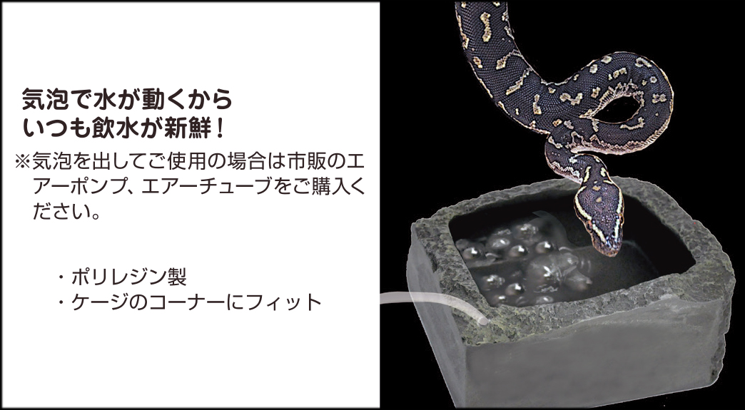 バブルディッシュL ビバリア 爬虫類用水入れ/エサ入れ 販売 通販