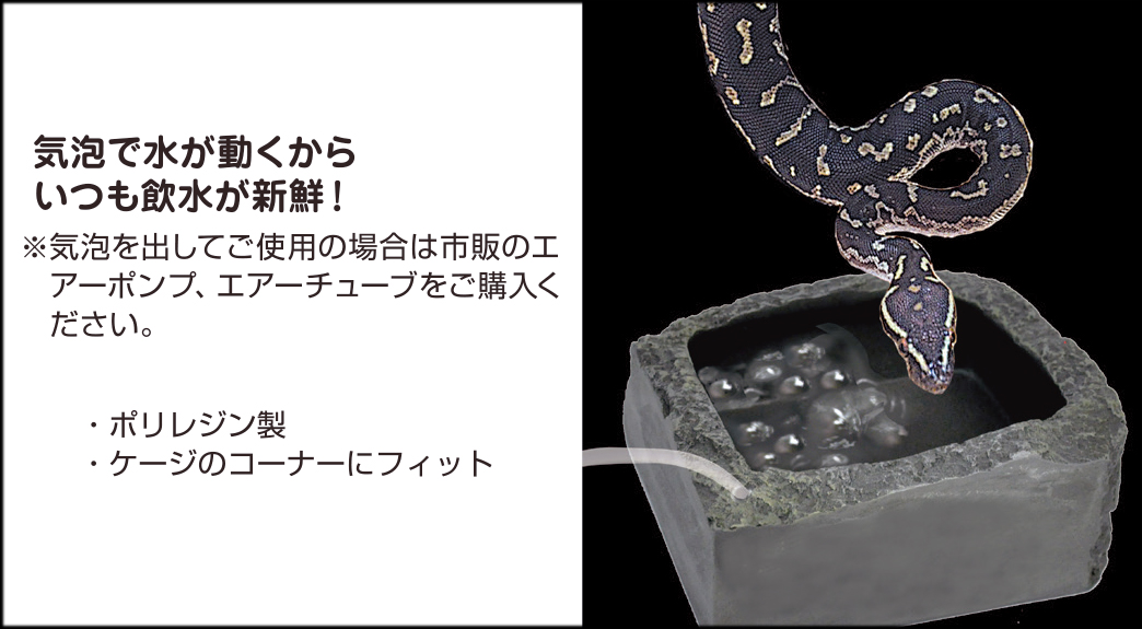 バブルディッシュ　エアーポンプ　エアーチューブ　使用例