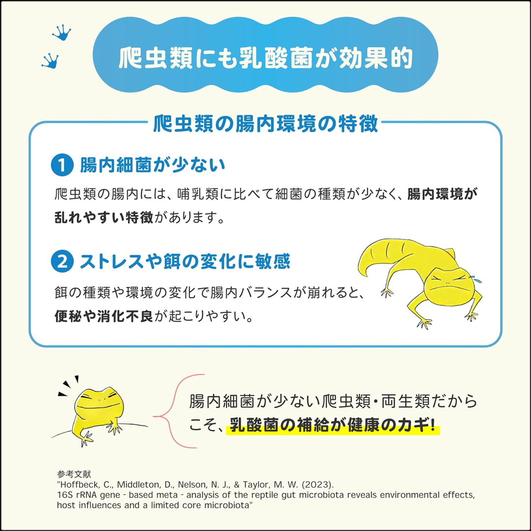 レプケア30g　乳酸菌