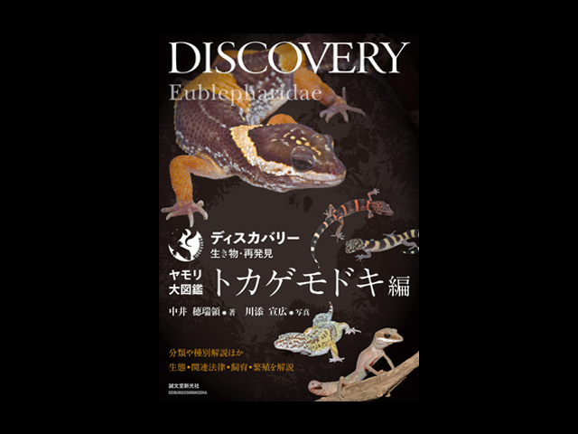 全商品 / 爬虫類ショップ ワイルドモンスター