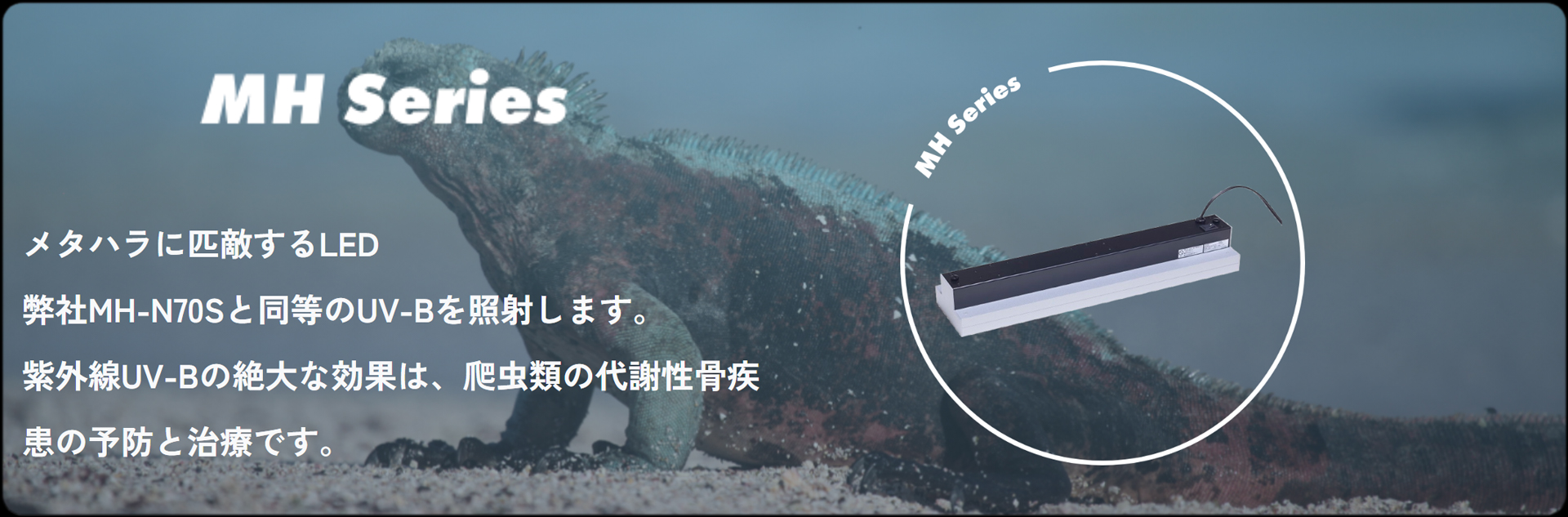 爬虫類用LED紫外線ライトMH-N10S エムズワン Mz One