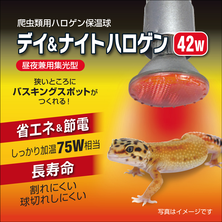 デイ&ナイトハロゲン42W　パッケージ上面