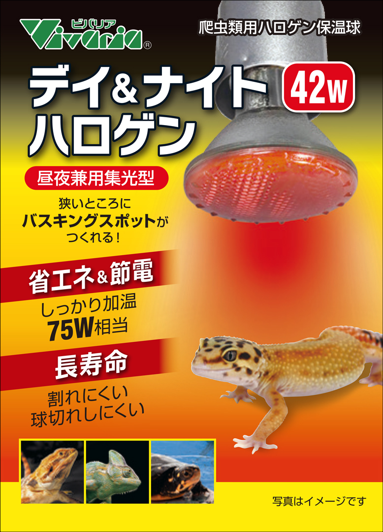 デイ&ナイトハロゲン42W　パッケージ正面