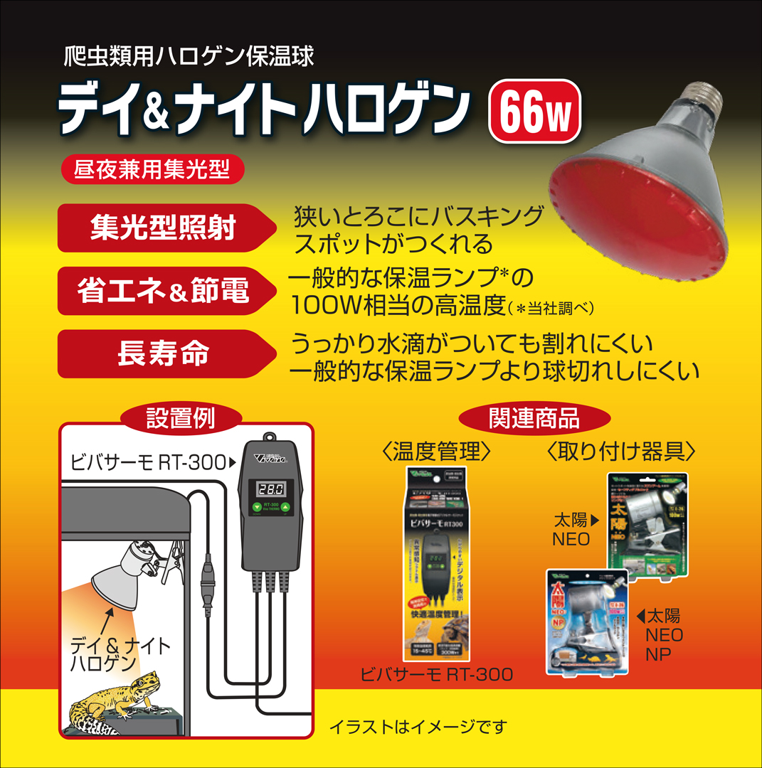 デイ&ナイトハロゲン66W　パッケージ右側面