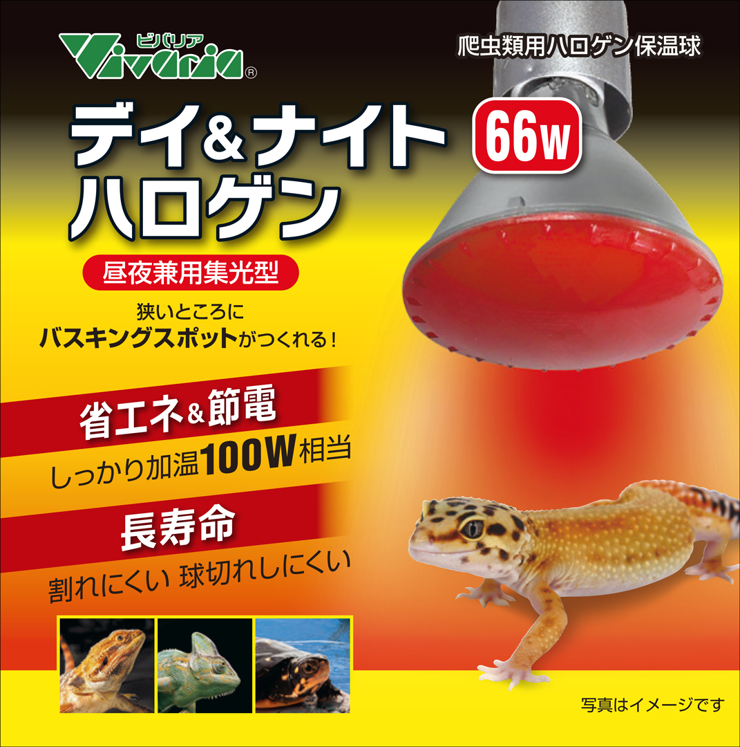 デイ&ナイトハロゲン66W　パッケージ正面