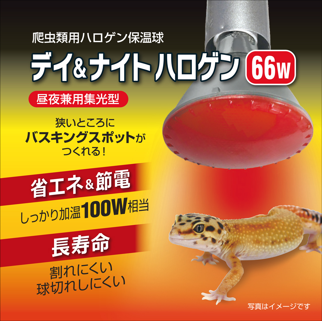 デイ&ナイトハロゲン66W　パッケージ上面