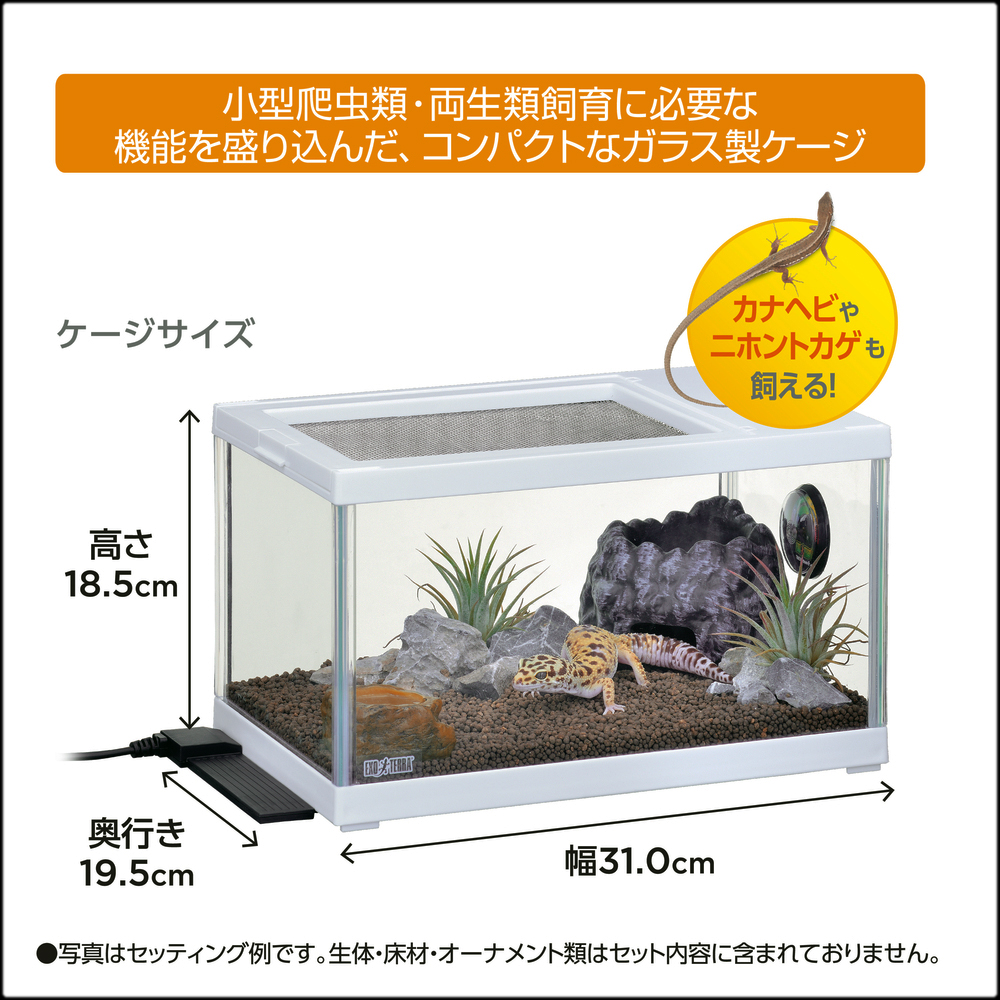 レオパ飼育キットS TV　小型爬虫類・両生類飼育用