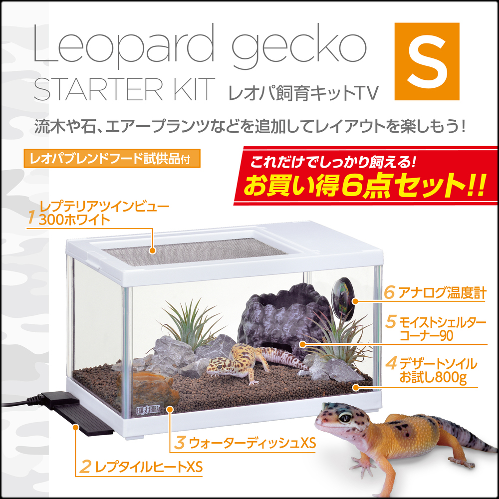 レオパ飼育キットS TV　お買い得6点セット