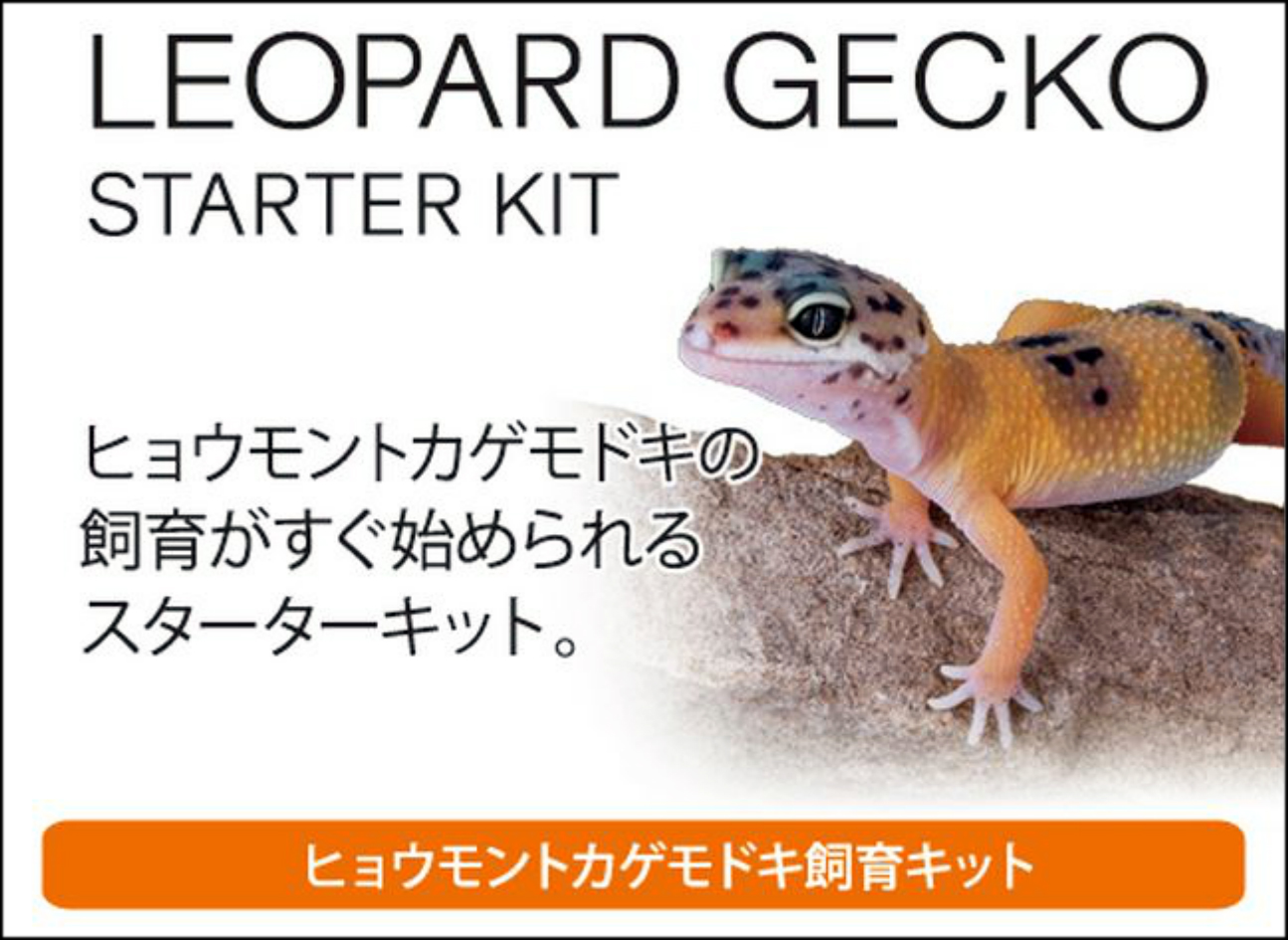 レオパ飼育キット　EXOTERRA