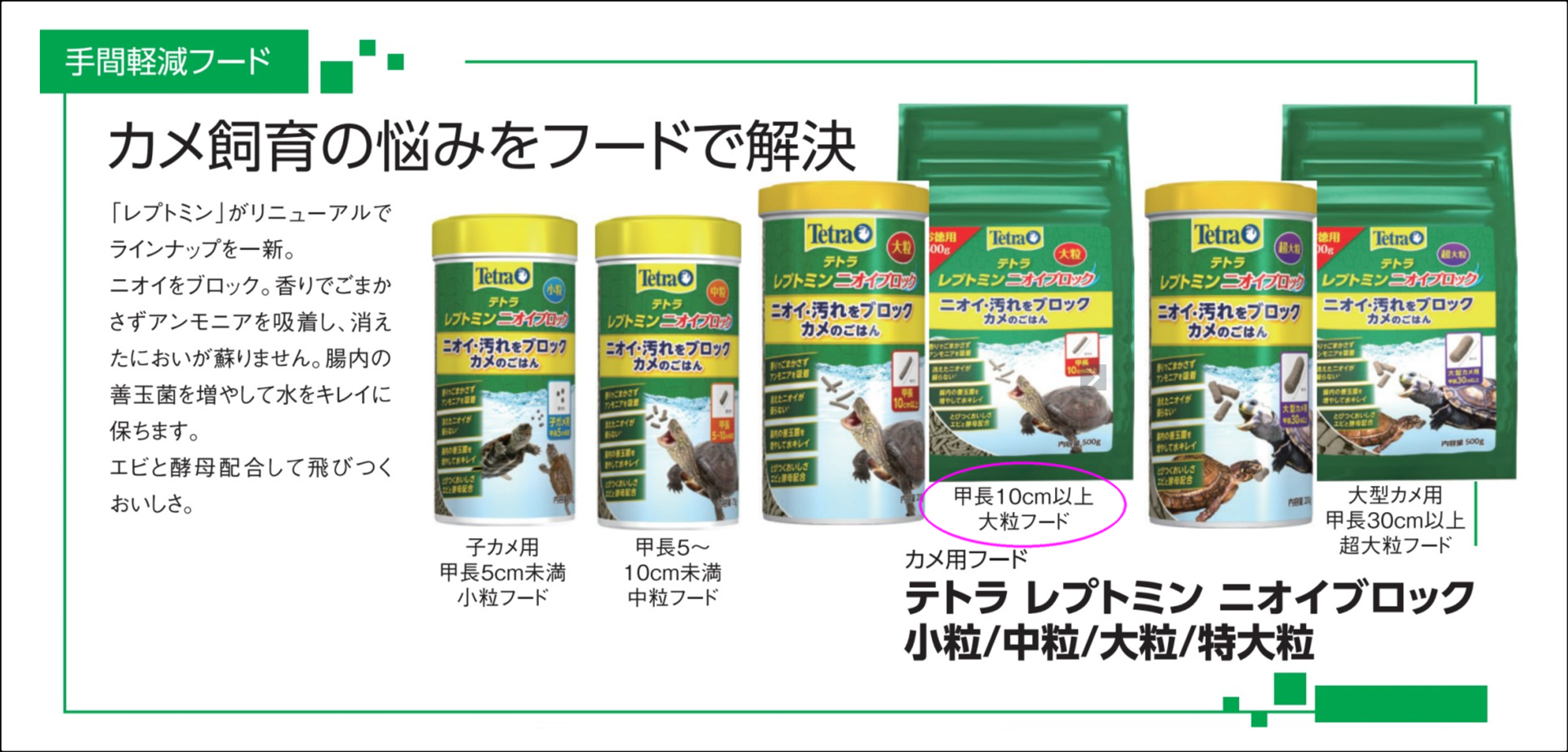 テトラ レプトミン ニオイブロック 大粒　Tetra