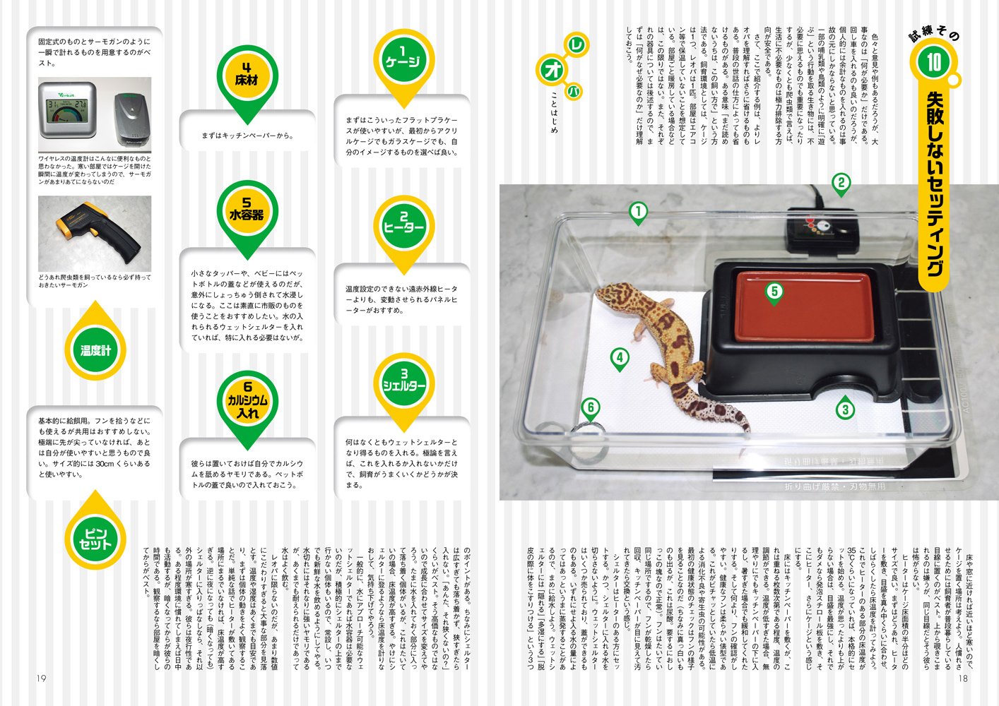 ビバガ 80号 2018年春号