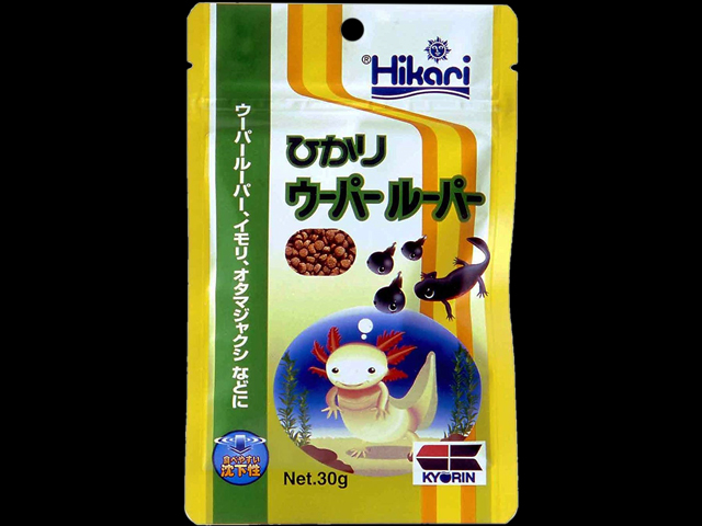 ひかりウーパールーパー