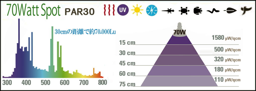 ソーラーラプターHIDランプ70W交換球　性能表