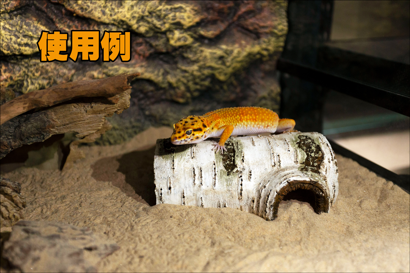 ポプラハイドケーヴS　使用例