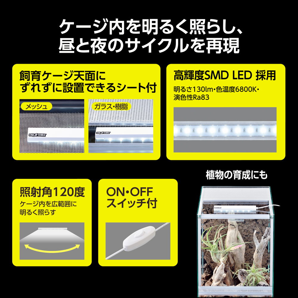 デイサイクルLED　昼と夜のサイクルを再現