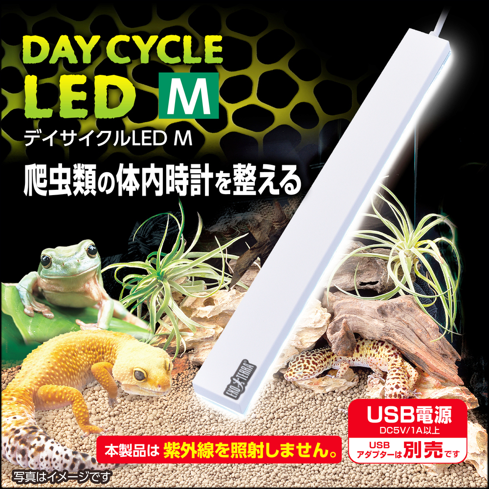 デイサイクルLED M　エキゾテラ