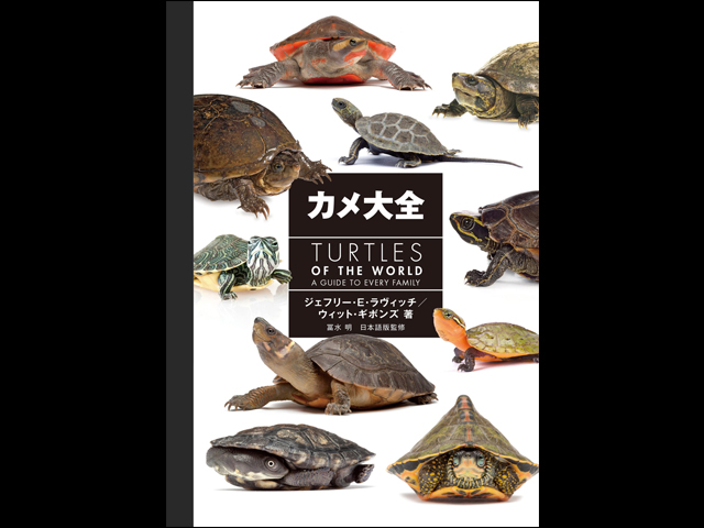 カメ大全 TURTLES OF THE WORLD