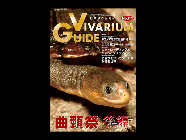 ビバリウムガイド(Vivarium Guide) エムピージェー(MPJ) 販売 通販