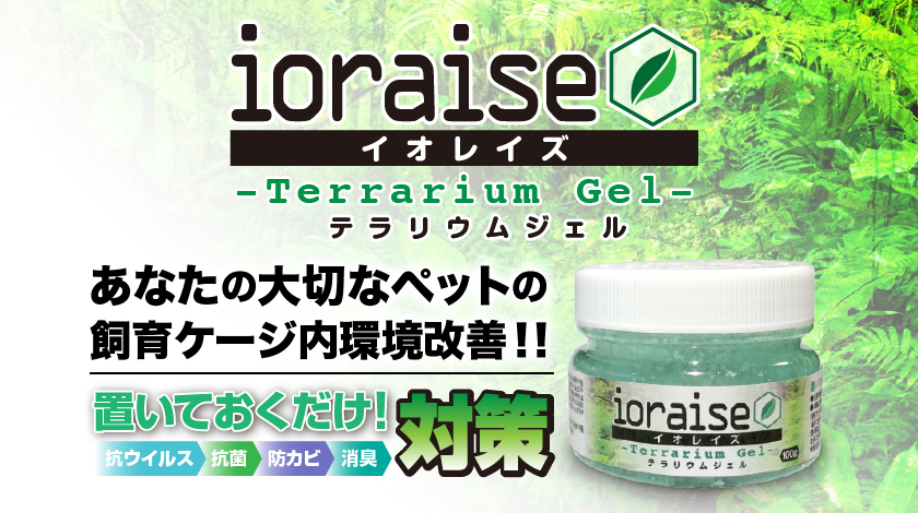 イオレイズ　ioraise