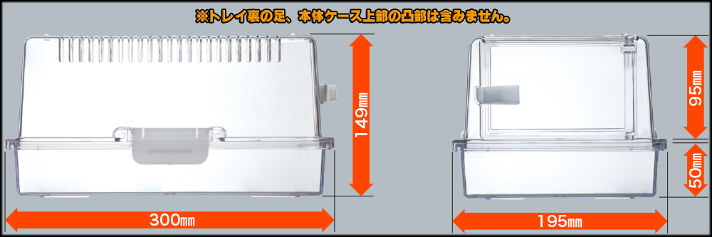 レプティギア300　サイズ