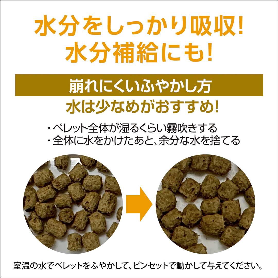 カナヘビブレンドフード エキゾテラ 崩れにくいふやかし方