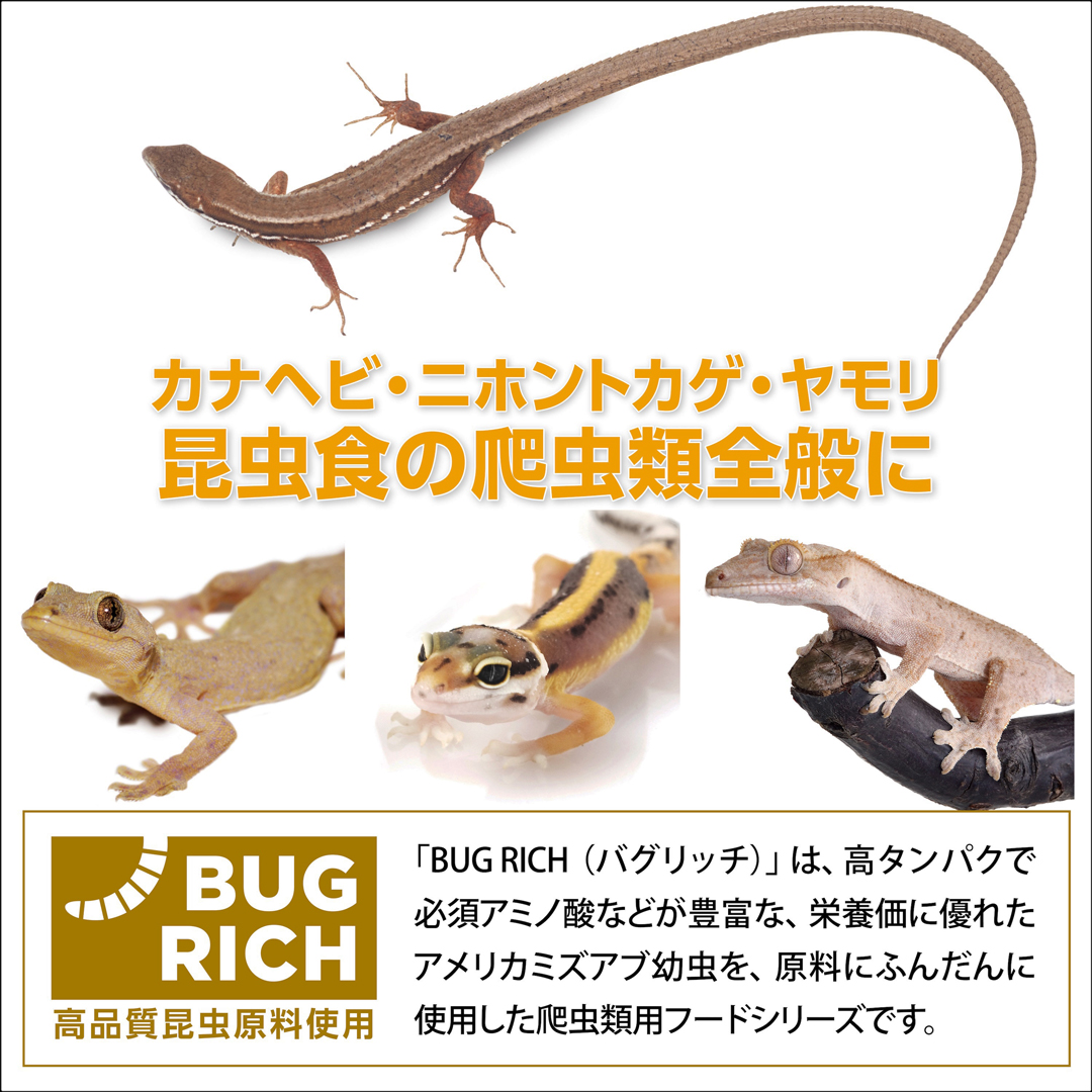 カナヘビブレンドフード ジェックスエキゾテラ GEX EXOTERRA 昆虫食爬虫類全般に