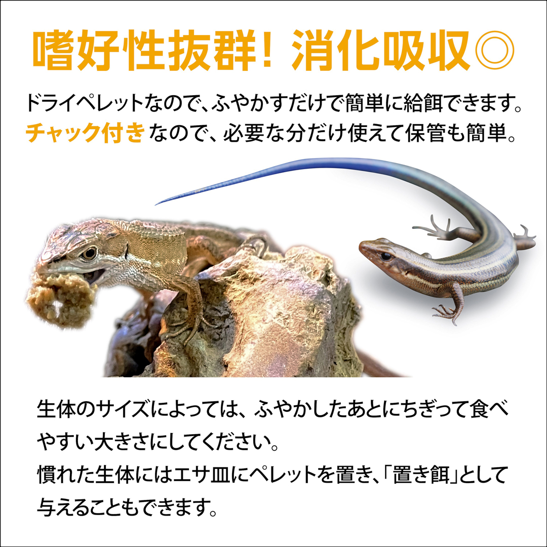 カナヘビブレンドフード EXOTERRA 嗜好性抜群 消化吸収〇