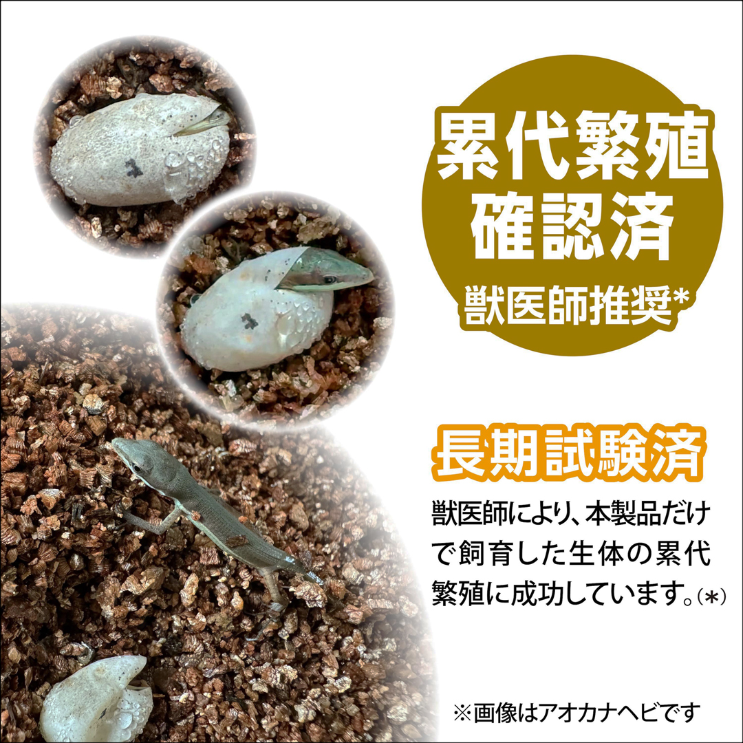 カナヘビブレンドフード ジェックスエキゾテラ 累代繁殖確認済 獣医師推奨