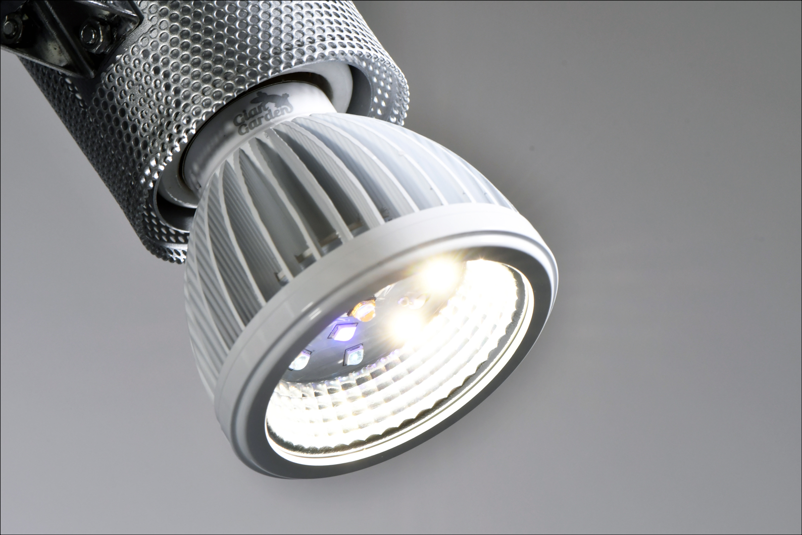 レプタイルスポットUV LED D25 点灯