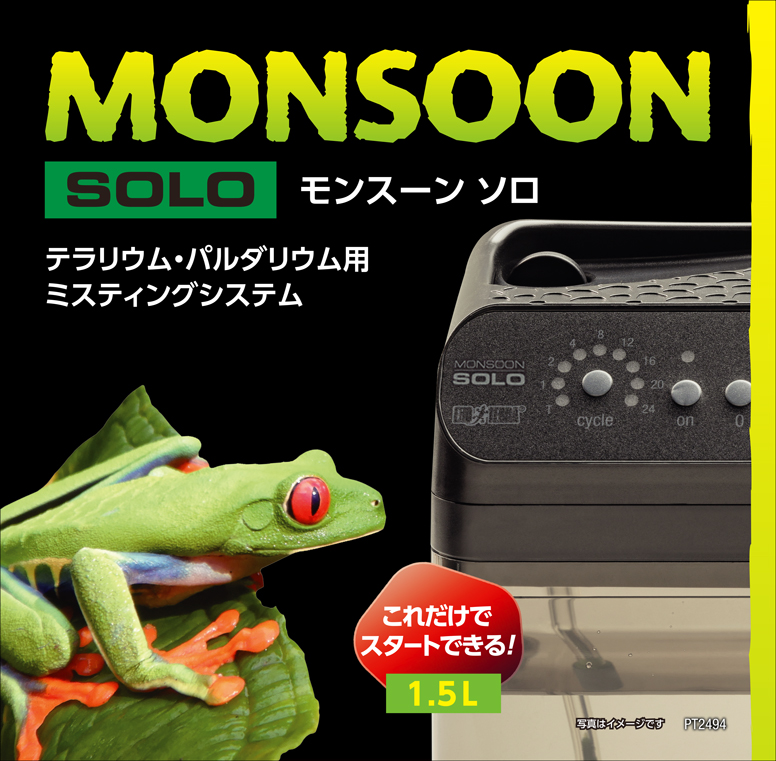 モンスーンソロ　パッケージ天面