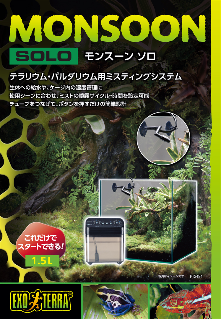 モンスーンソロ　パッケージ左側面