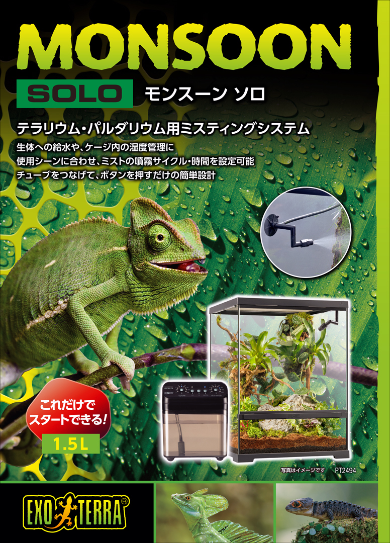 モンスーンソロ　パッケージ正面
