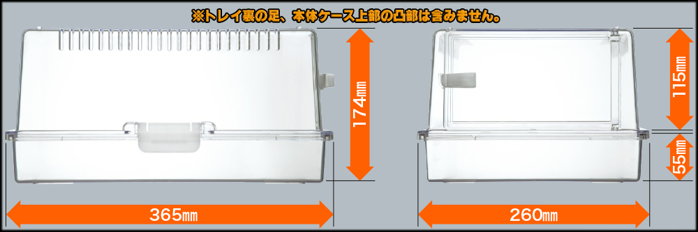 レプティギア365　サイズ