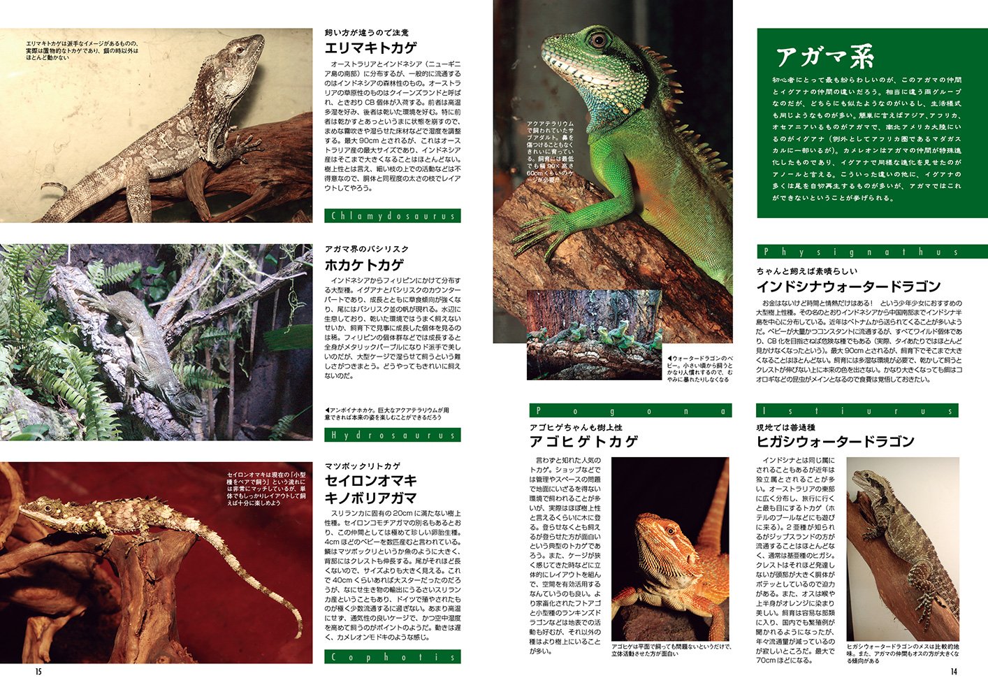 ビバガ 76号 アクアライフ3月号増刊