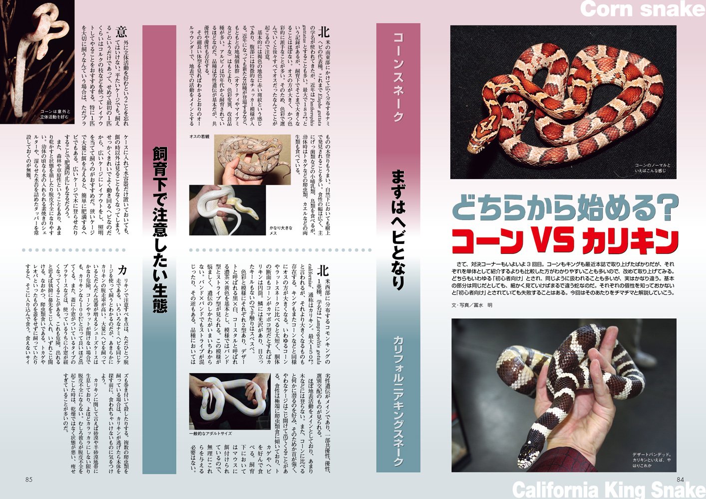 ビバリウムガイド No.76号 アクアライフ3月号増刊