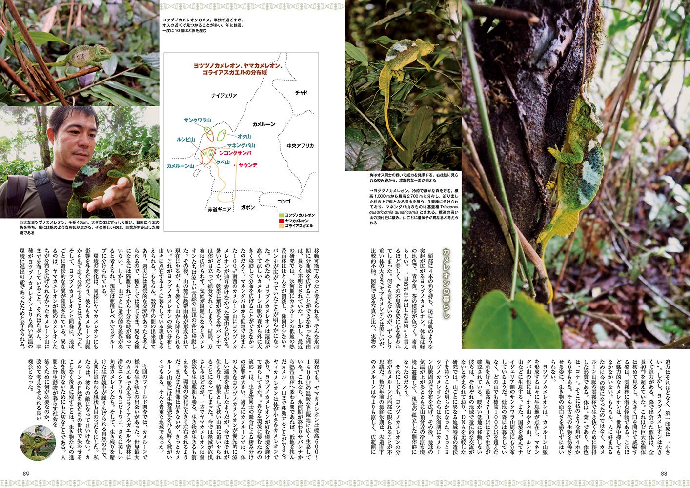 ビバリウムガイド No.84 2019年春号　トゲオアガマ あっせんなよ！