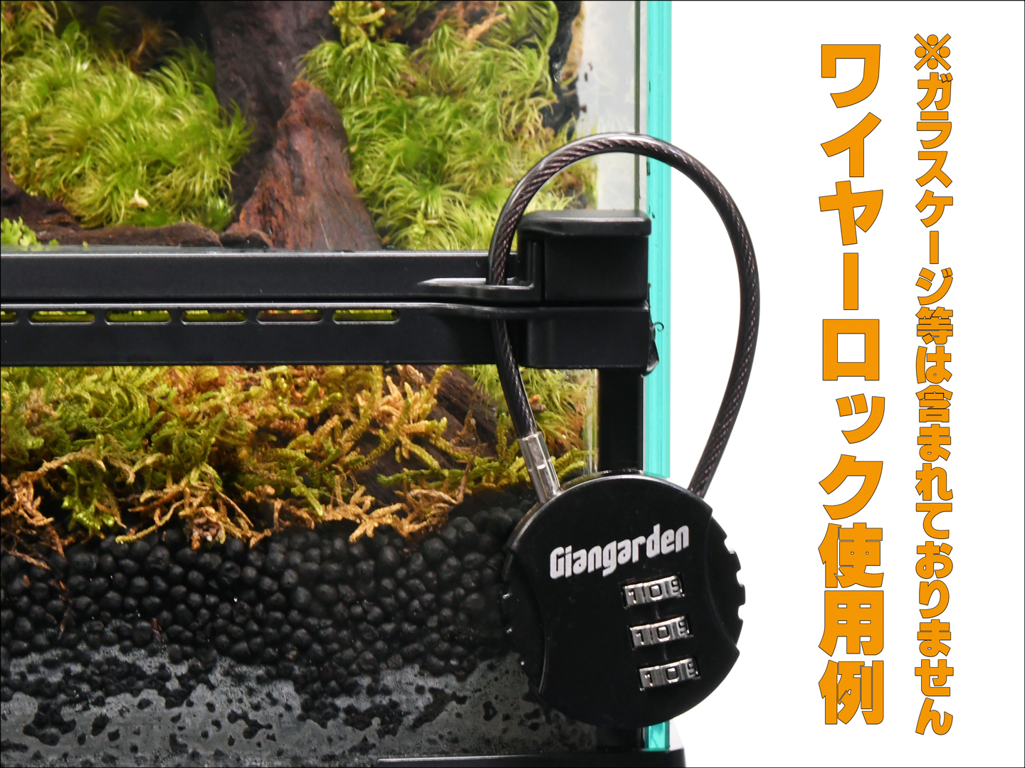 ワイヤーロック　レプタイルガーデンに使用した場合