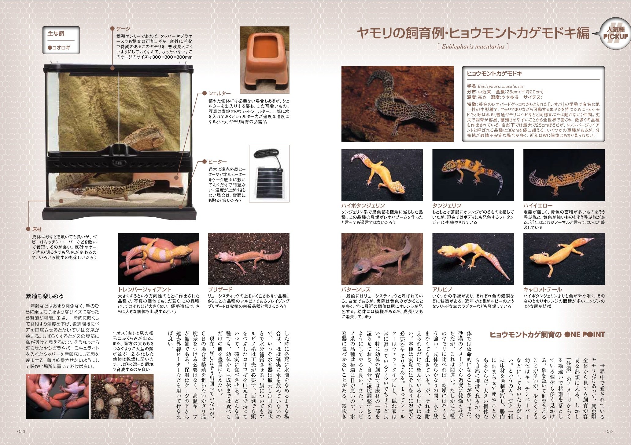 アクアマガジン 爬虫類・両生類バイブル1〜4 BIBLE Ⅰ・Ⅱ・Ⅲ・Ⅳ 趣味・スポーツ・実用
