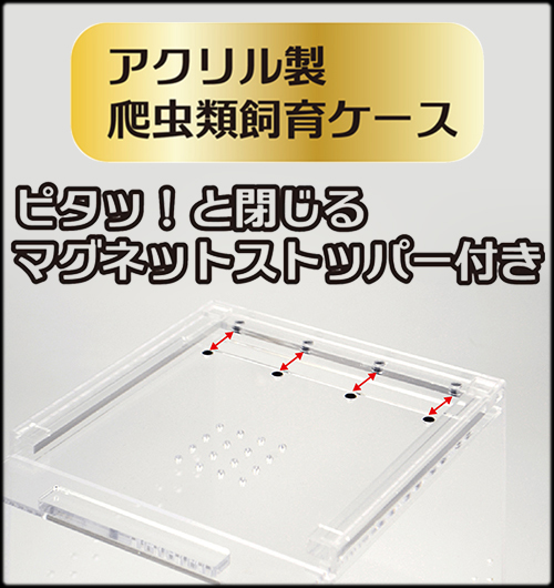 レプタイルボックスハイS　マグネットストッパー付きスライド蓋
