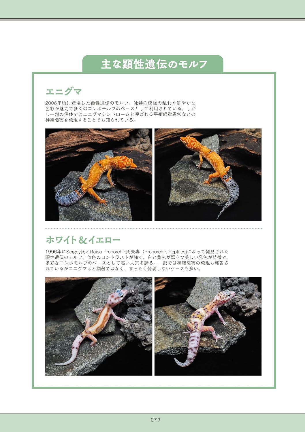 笠倉出版　レオパの教科書2　モルフ