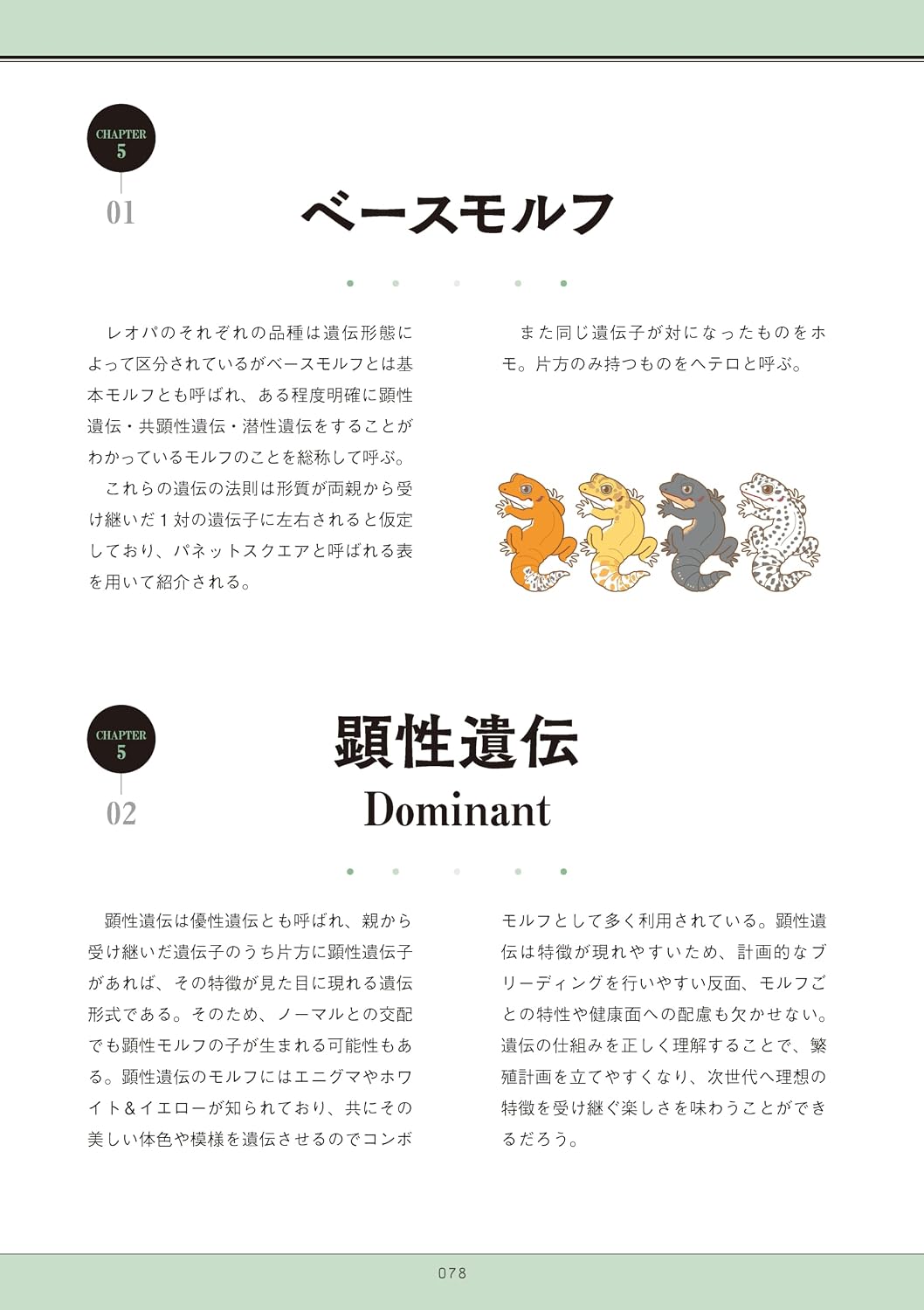 笠倉出版　レオパの教科書2　ベースモルフ