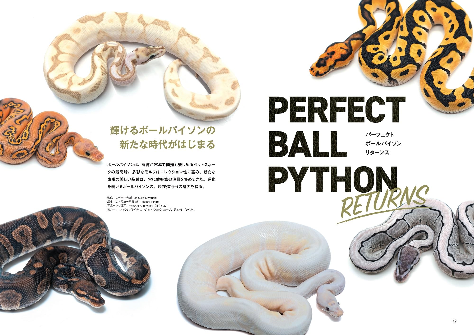 REP FAN レプファン Vol.21 PERFECT BALL PYTHON RETURNS