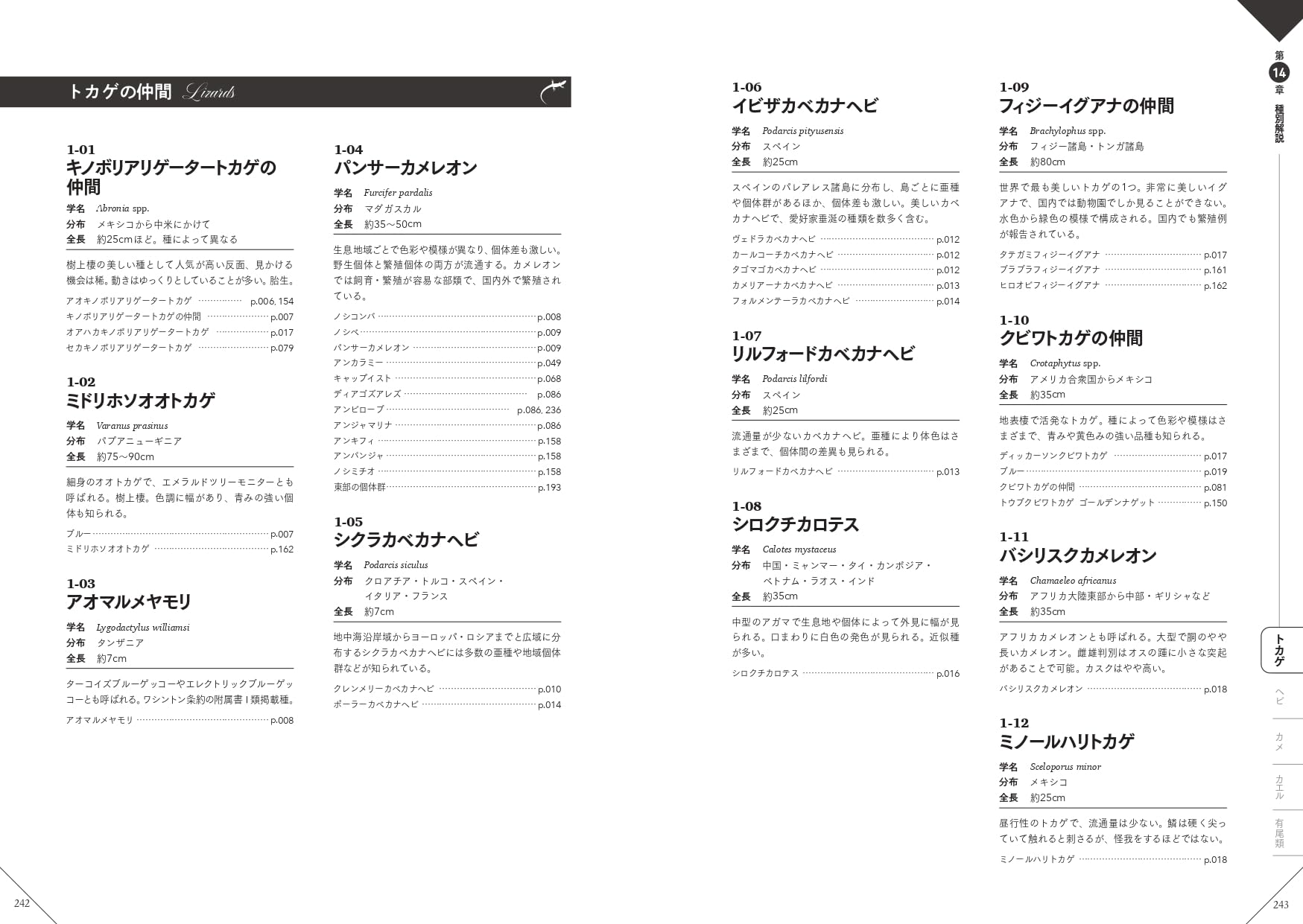 色彩別爬虫類・両生類図鑑　種別解説