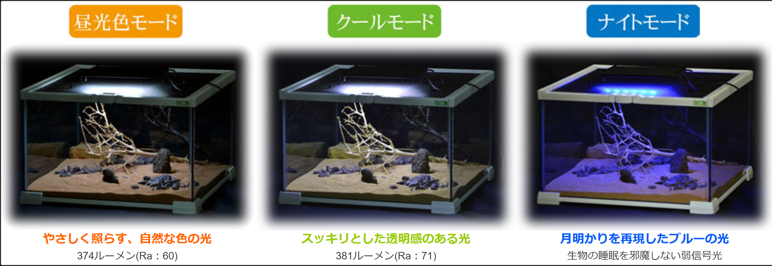 マルチファンクション・スリムLED 三晃商会 爬虫類照明器具 販売