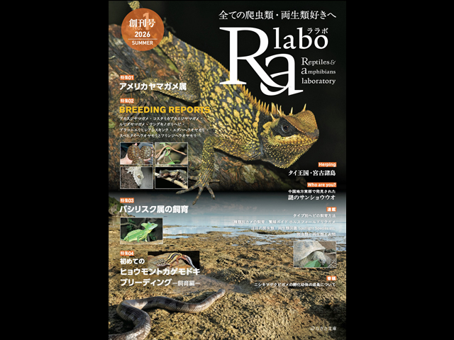 ララボNo.1 創刊号