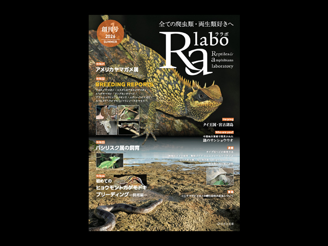 爬虫類関連の本 爬虫類関係書籍 販売 通販