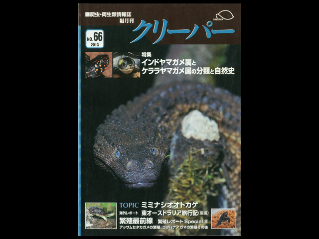 CREEPER（クリーパー） NO.66　インドヤマガメ属とケララヤマガメ属の分類と自然史