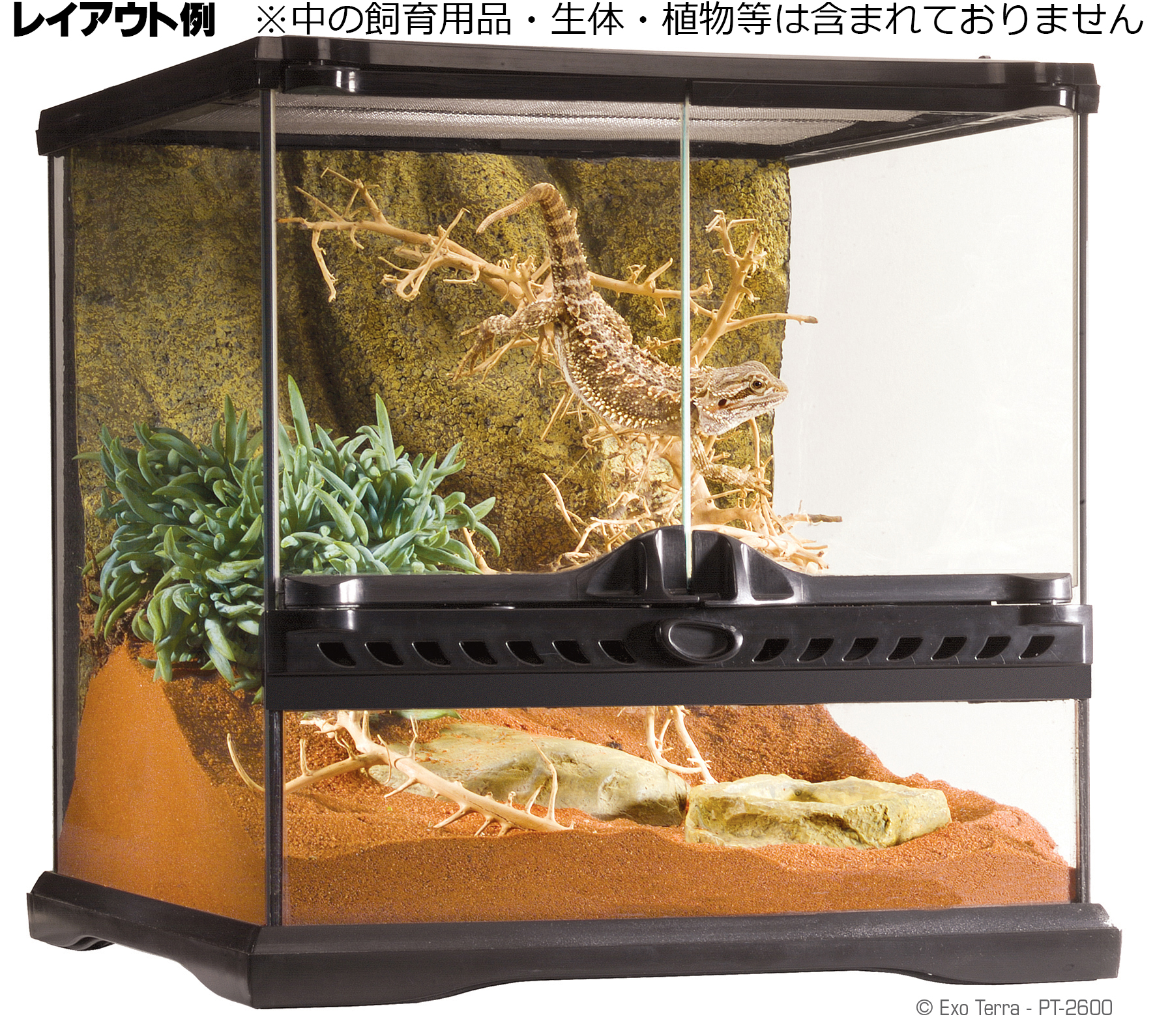 グラステラリウム3030 エキゾテラ Gex ガラス飼育ケージ 販売 通販