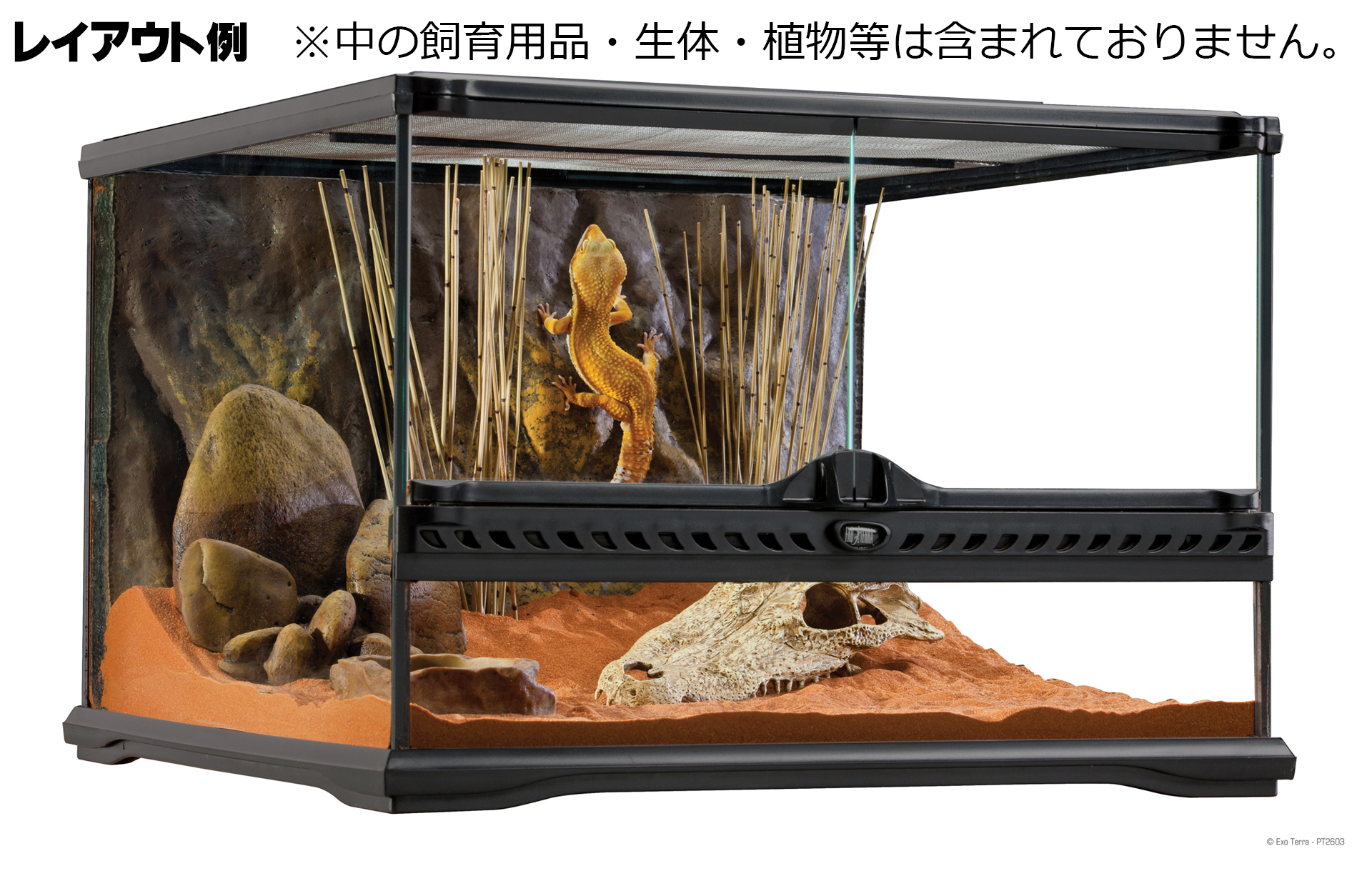 グラステラリウム4530 エキゾテラ GEX ガラス飼育ケージ 販売 通販