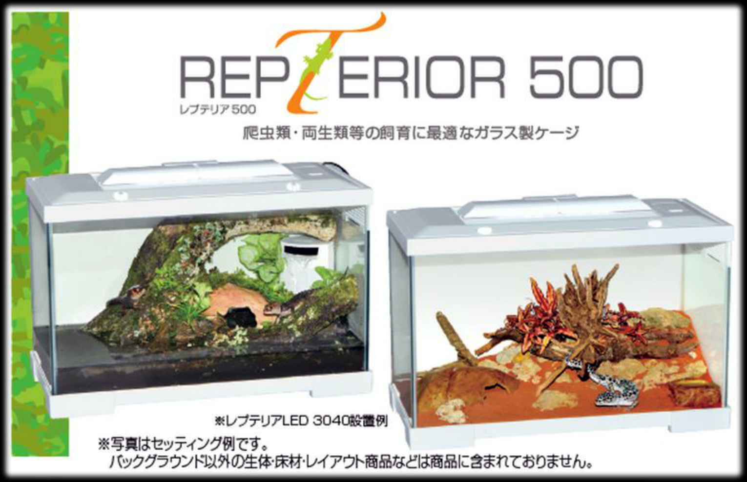 レプテリア500 エキゾテラ ジェックス 爬虫類用水槽 販売 通販